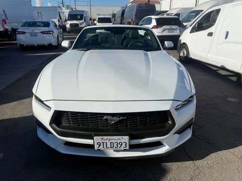 Used 2025 Ford Mustang Convertible image 2