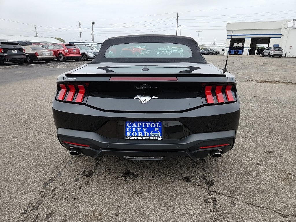 Used 2024 Ford Mustang Premium RWD image 6