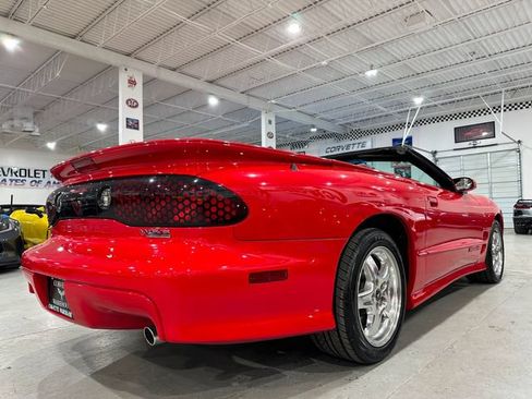 Used 2002 Pontiac Firebird Trans Am RWD image 3