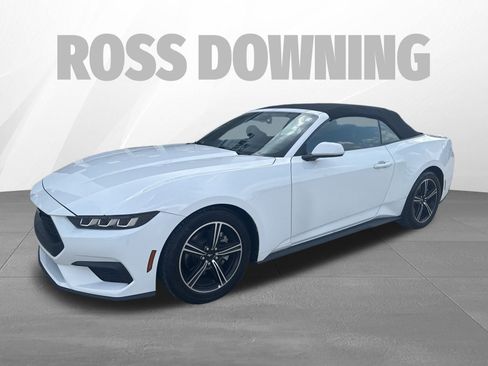 Used 2025 Ford Mustang Premium image 2