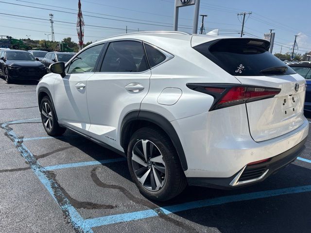 Used 2020 Lexus NX 300h AWD w/ Premium Package image 4
