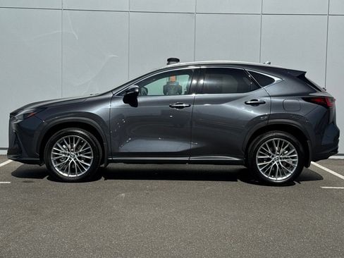 Used 2025 Lexus NX 350 AWD w/ Cold Area Package image 2