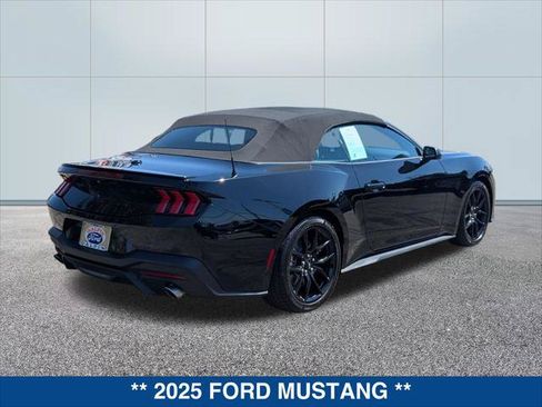 Certified 2025 Ford Mustang Convertible w/ Mustang Nite Pony Package RWD image 5
