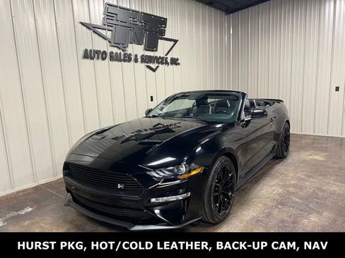Used 2019 Ford Mustang Premium w/ Equipment Group 201A image 1