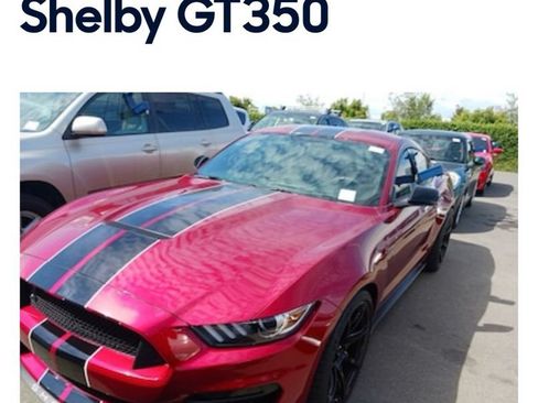 Used 2017 Ford Mustang Shelby GT350 RWD image 1
