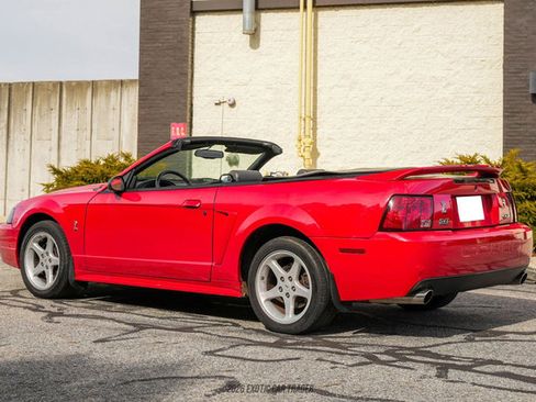 Used 1999 Ford Mustang Cobra image 6
