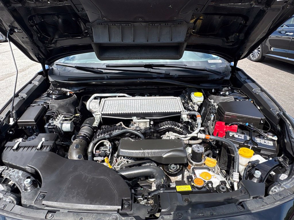 Used 2025 Subaru Outback Wilderness AWD/4WD image 11