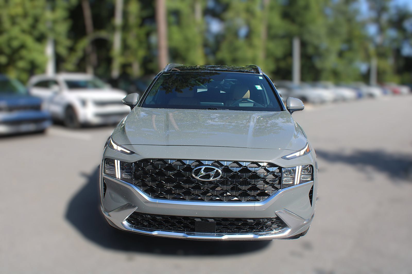 Used 2023 Hyundai Santa Fe Calligraphy AWD/4WD image 18