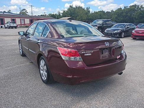 Used 2010 Honda Accord EX-L image 3