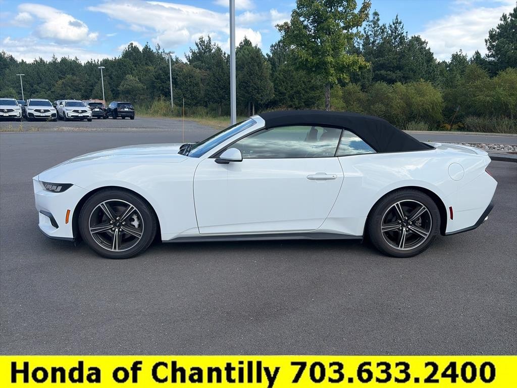 Used 2025 Ford Mustang Premium RWD image 4