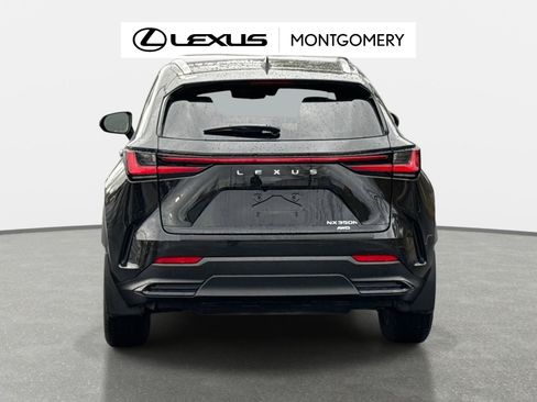 Used 2025 Lexus NX 300h AWD w/ Luxury Package image 5