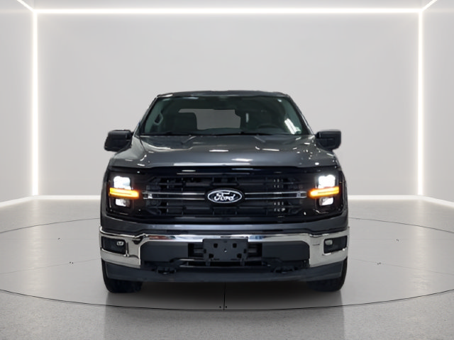 Used 2025 Ford F150 XLT w/ Equipment Group 301A Standard AWD/4WD image 4