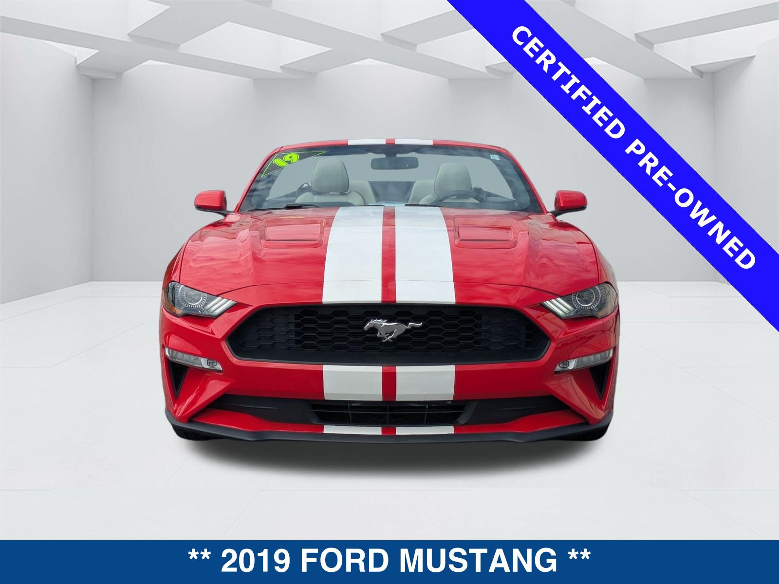 Certified 2019 Ford Mustang Premium RWD image 9