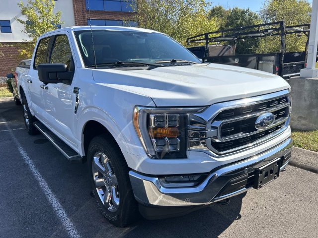 Used 2023 Ford F150 XLT w/ Equipment Group 302A High AWD/4WD image 2