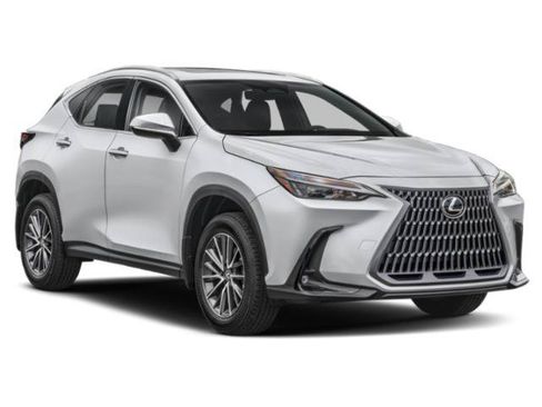 Used 2024 Lexus NX 350h AWD image 6
