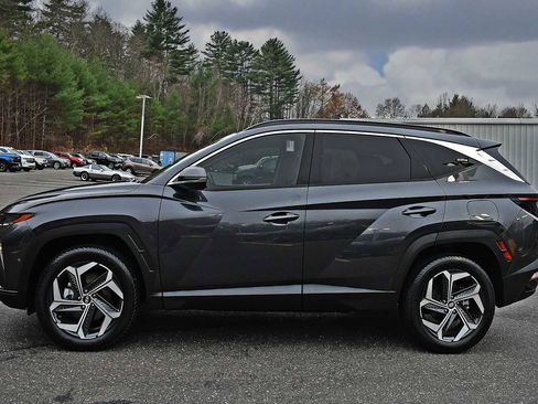Used 2022 Hyundai Tucson Limited image 4