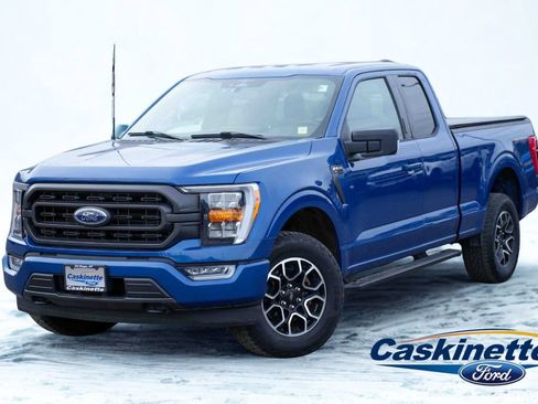 Used 2023 Ford F150 XLT w/ Equipment Group 302A High image 1