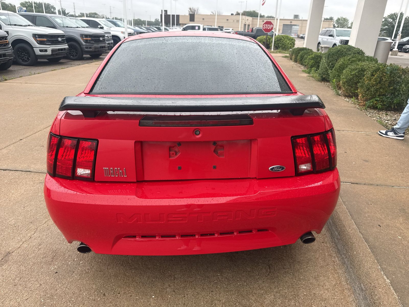 Used 2004 Ford Mustang Mach 1 RWD image 7