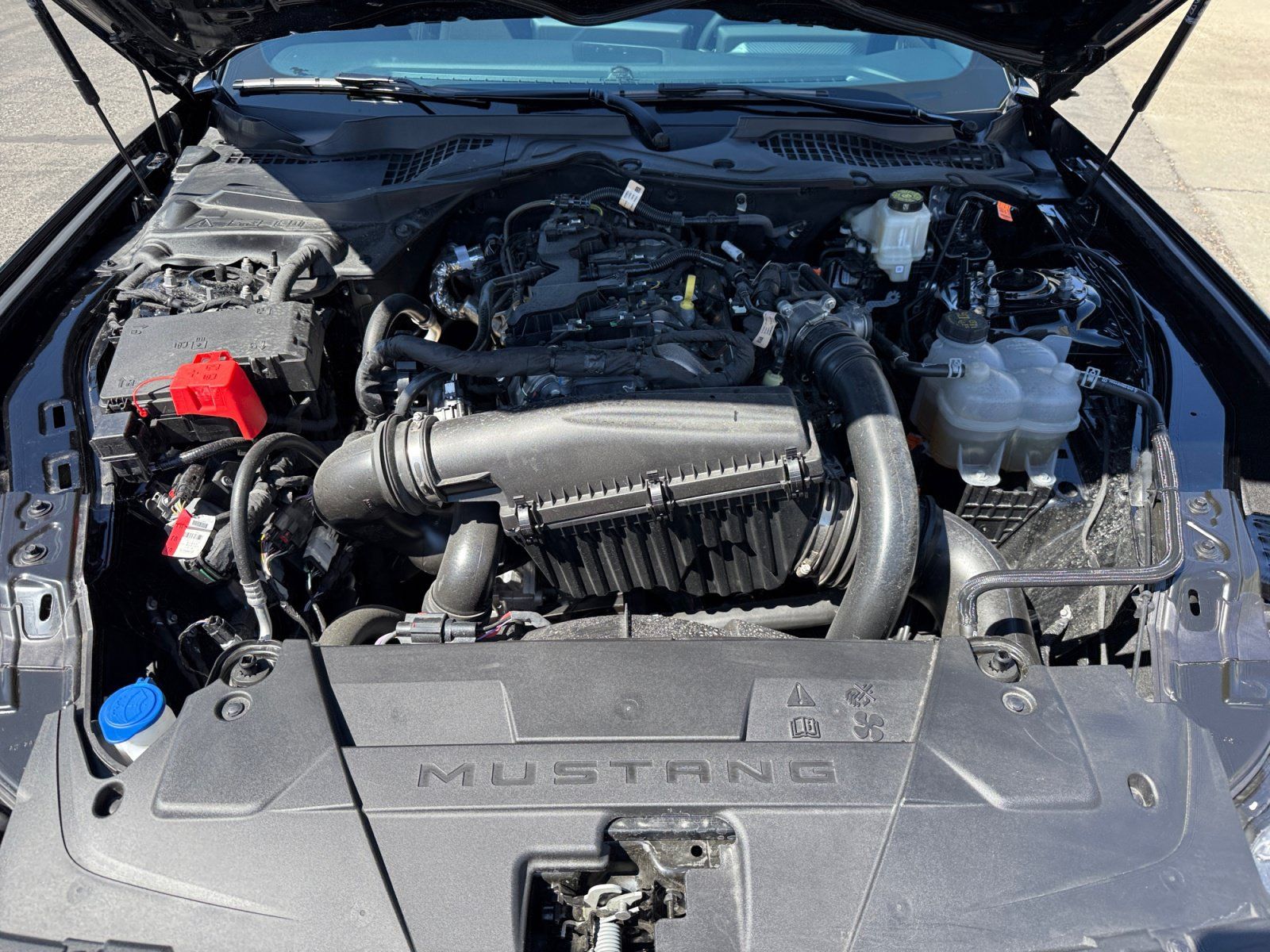 Used 2026 Ford Mustang Coupe RWD image 20