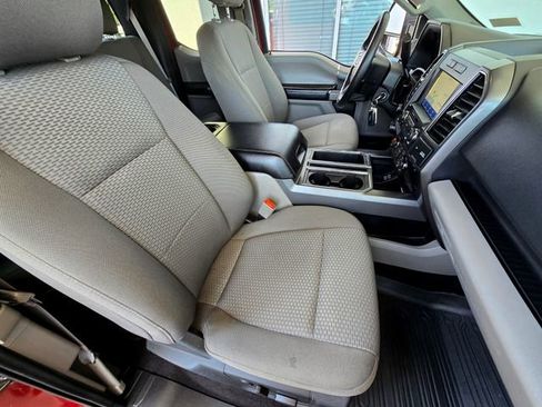 Used 2019 Ford F150 XLT w/ Equipment Group 302A Luxury AWD/4WD image 21