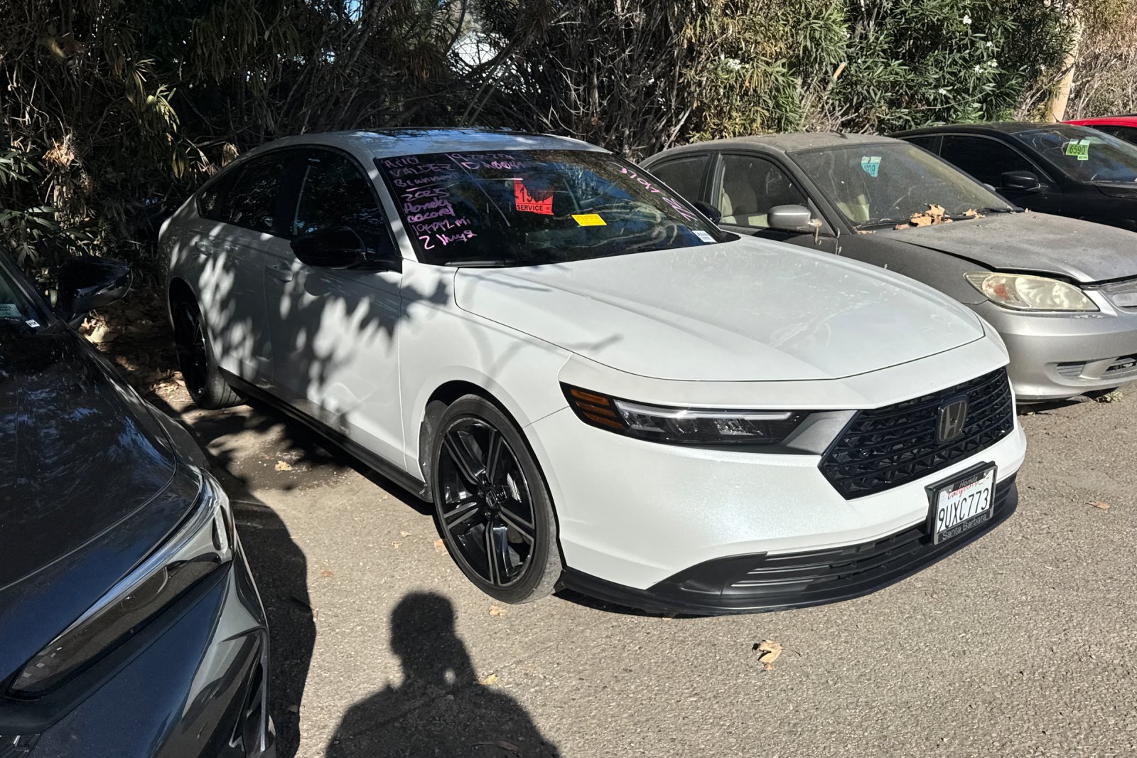 Used 2025 Honda Accord Sport image 4