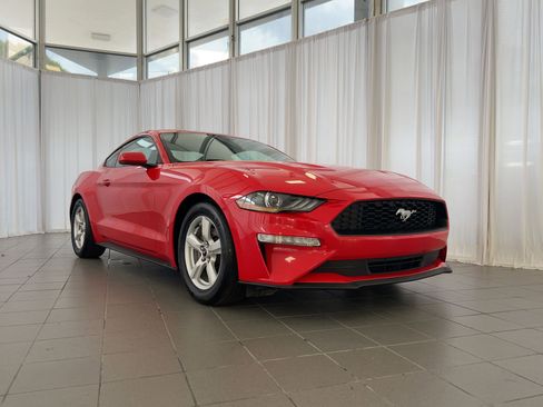 Used 2019 Ford Mustang Coupe image 7