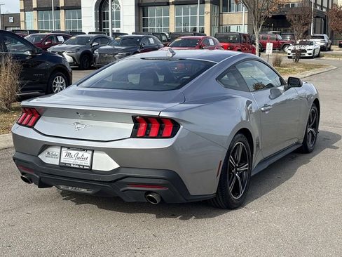 Used 2024 Ford Mustang EcoBoost image 9