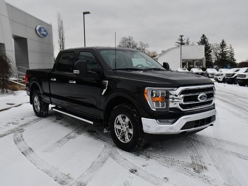 Used 2023 Ford F150 XLT w/ Equipment Group 302A High image 9