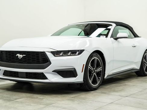 Used 2024 Ford Mustang Premium RWD image 2