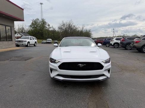 Used 2019 Ford Mustang Coupe w/ Equipment Group 101A image 3