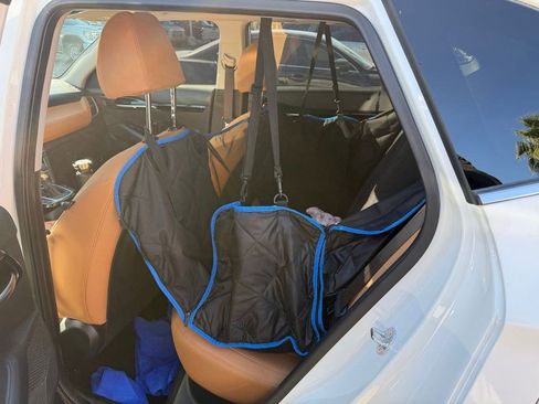 Used 2025 Kia Seltos EX w/ EX Sunroof Package image 6