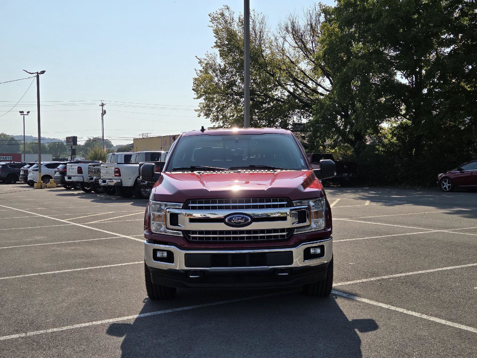 Used 2019 Ford F150 XLT w/ Equipment Group 302A Luxury AWD/4WD image 8