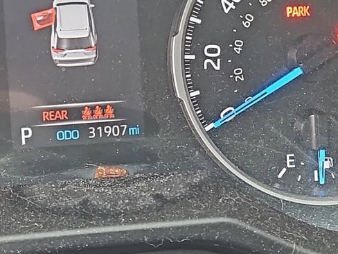 Used 2020 Toyota RAV4 LE w/ Carpet Mat Package image 13