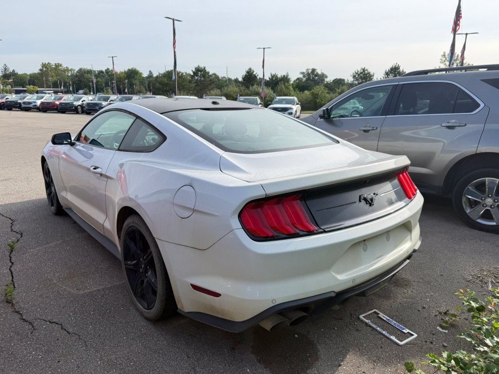 Certified 2020 Ford Mustang Premium w/ Equipment Group 201A RWD image 6