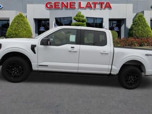 New 2025 Ford F150 XLT w/ Equipment Group 302A MID image 13