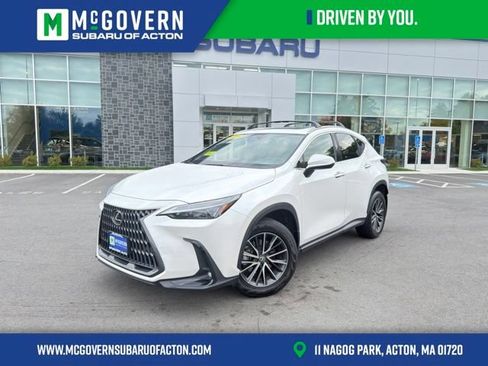 Used 2024 Lexus NX 350 AWD image 1