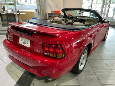 Used 1999 Ford Mustang Cobra RWD image 4