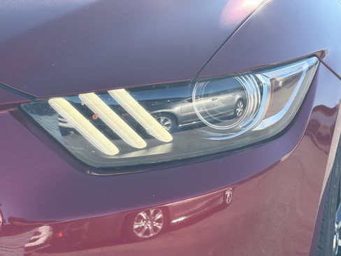 Used 2016 Ford Mustang Premium w/ Equipment Group 201A image 9