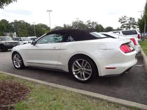 Used 2017 Ford Mustang Premium w/ Equipment Group 201A RWD image 7