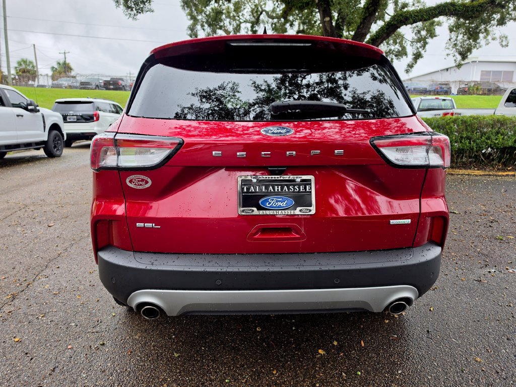 Used 2020 Ford Escape SEL FWD image 3