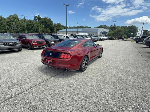 Used 2015 Ford Mustang Premium w/ Equipment Group 201A RWD image 7