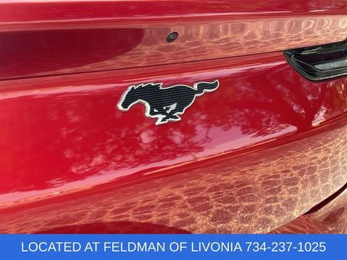 Used 2021 Ford Mustang Mach-E Premium image 32