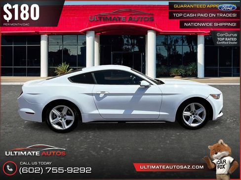 Used 2015 Ford Mustang Coupe w/ Equipment Group 051A RWD image 5