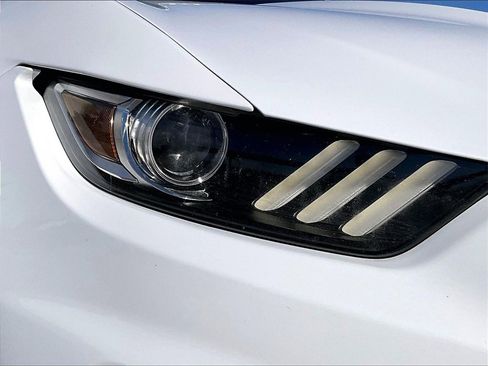 Used 2017 Ford Mustang Shelby GT350 image 12