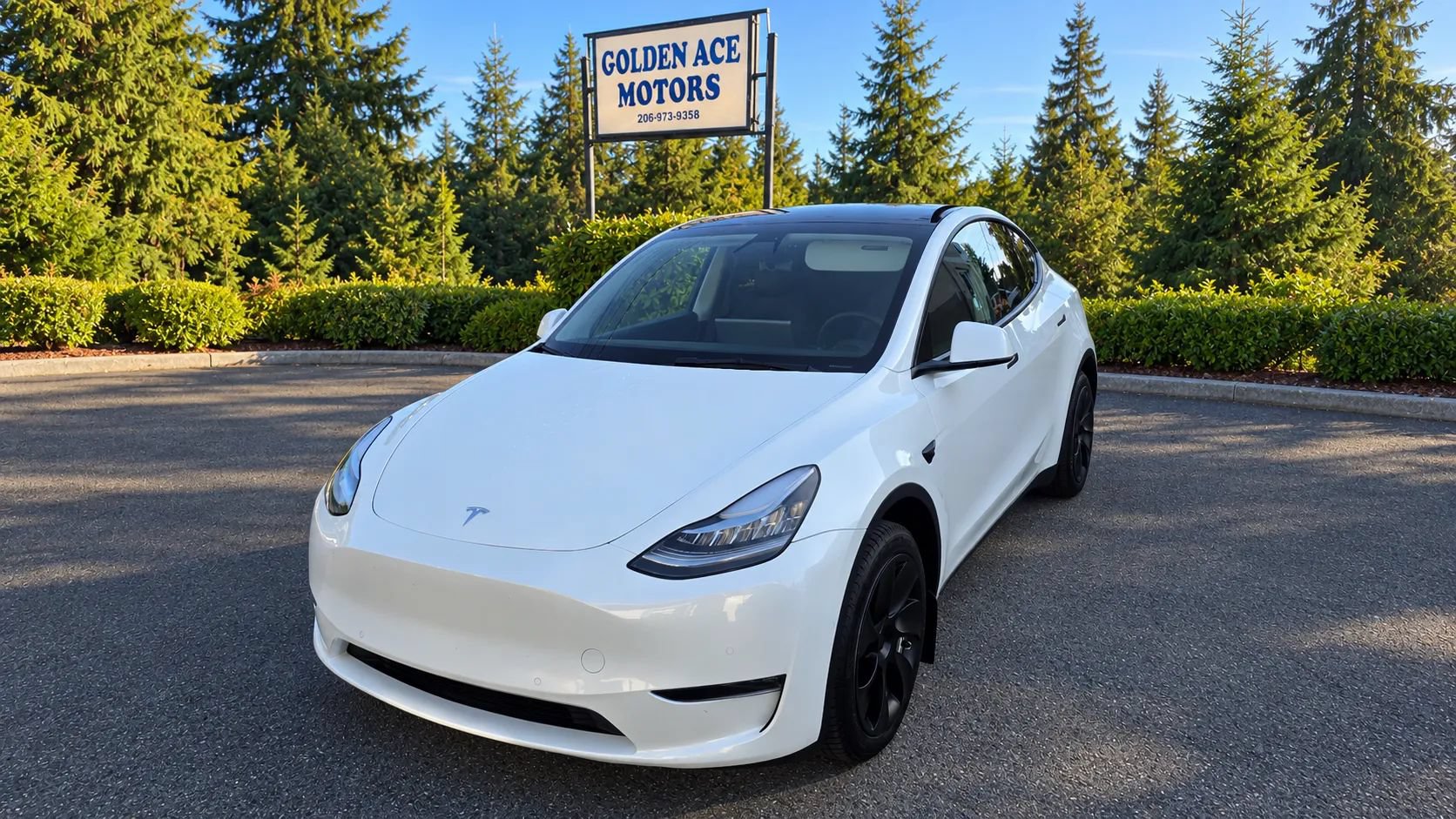 Used 2022 Tesla Model Y Long Range AWD/4WD image 1