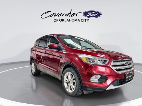 Used 2019 Ford Escape SE FWD image 2