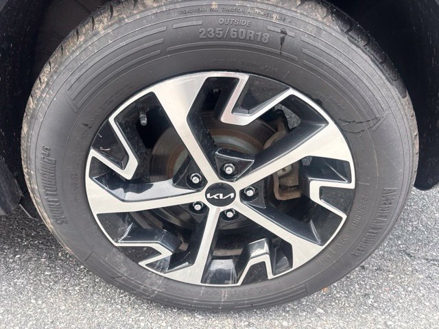 Used 2023 Kia Sportage EX AWD/4WD image 13