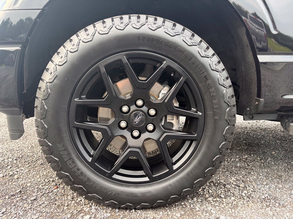 Used 2024 Ford F150 STX w/ STX Black Appearance Package AWD/4WD image 14