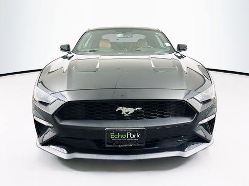 Used 2019 Ford Mustang Premium RWD image 2