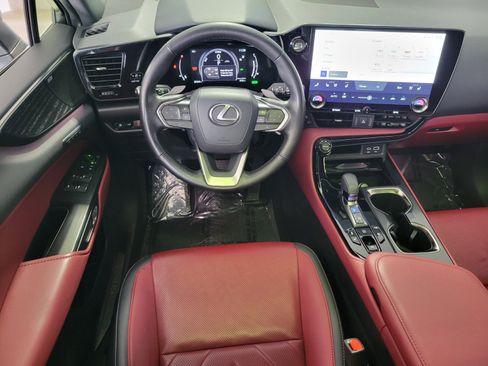 Certified 2025 Lexus NX 350h AWD w/ Cold Area Package image 13
